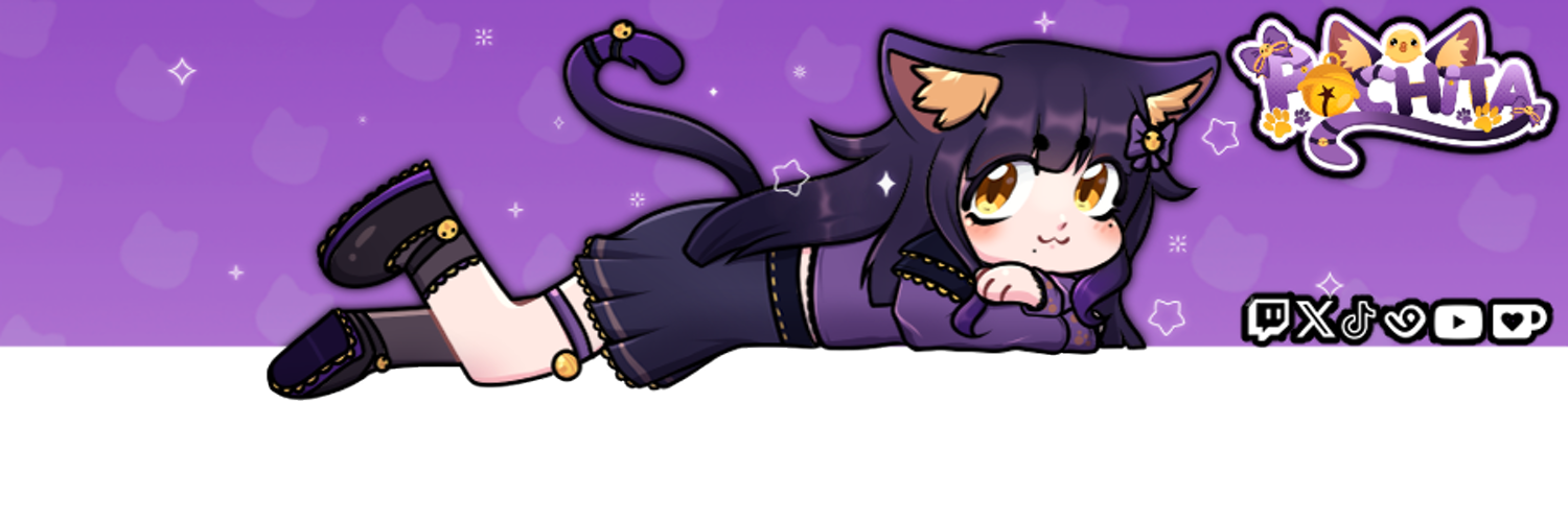 Pochita banner