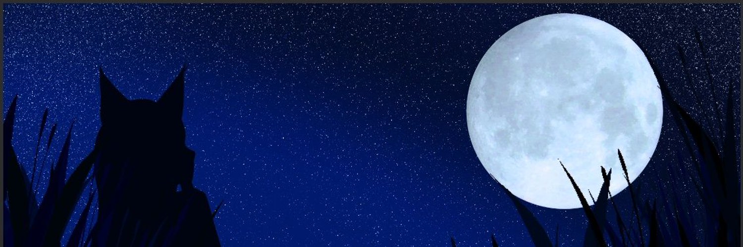 seroanyan banner