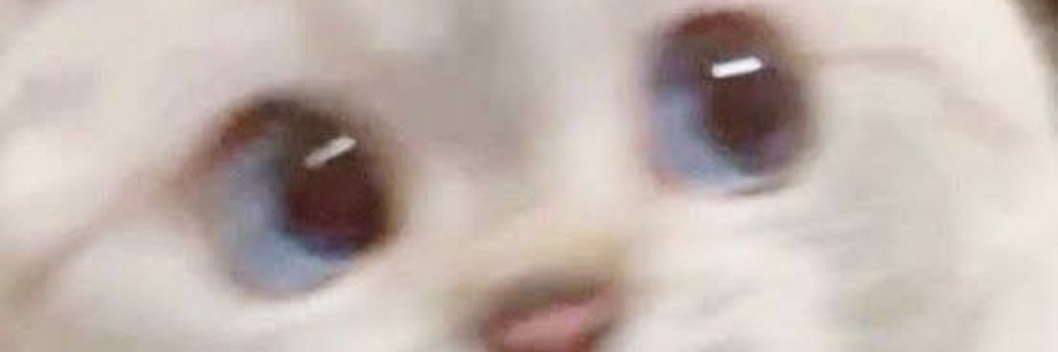 สีแต้ม | Vartist banner