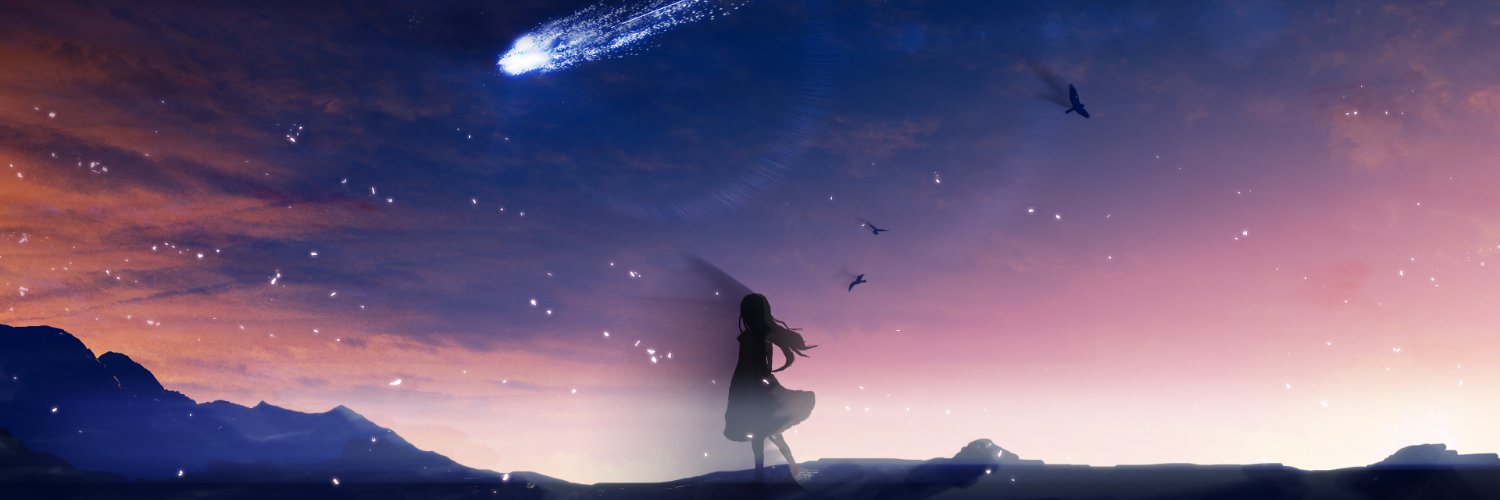 SulesVT banner