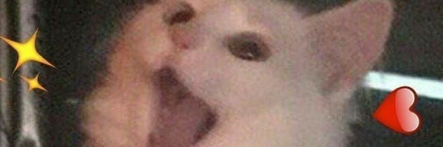 SupImLumi banner