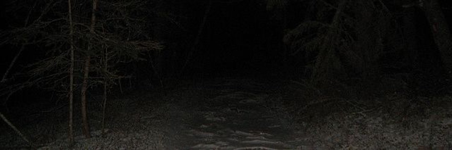 Balthazaar Black🦌👹Vtuber (PRE DEBUT) banner