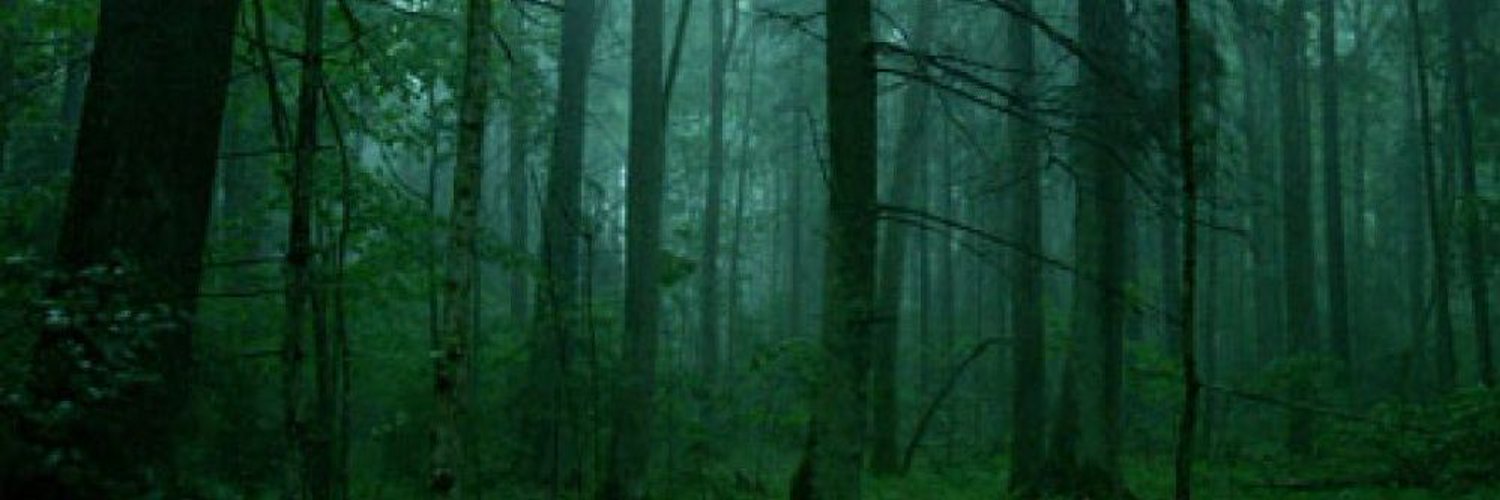 🐺Wolvenhorde📯 PNGtuber banner