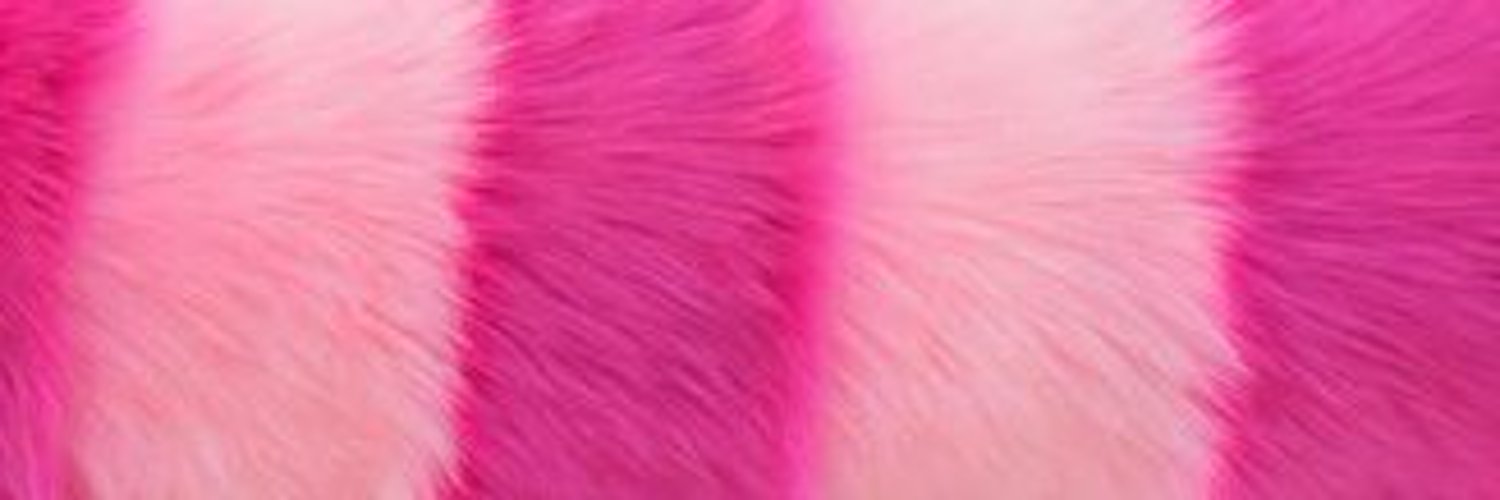 Vys 💞 Predebut(?) Fae VTuber banner