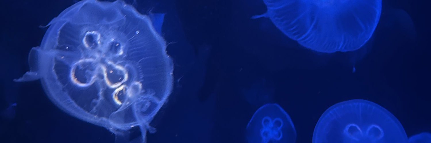 AA. Tenqi banner