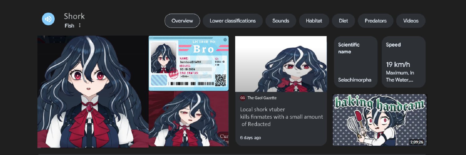 Avelynn B. Litlark banner