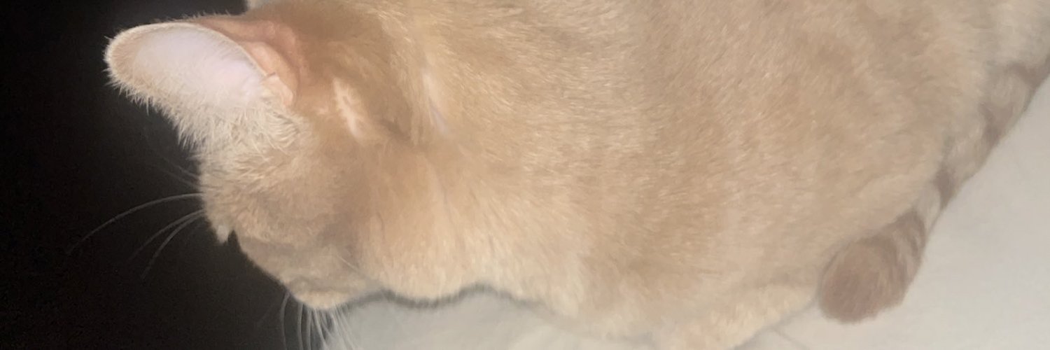 aika ♡ | envtuber banner