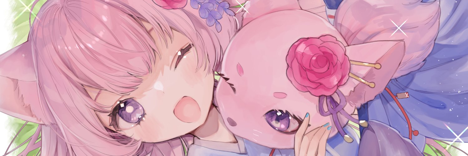Erima banner