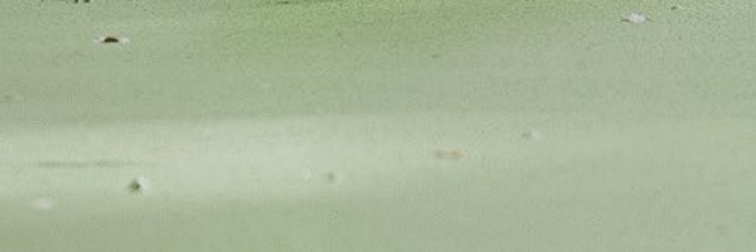 Fern Croft 🌿 ENVTuber banner