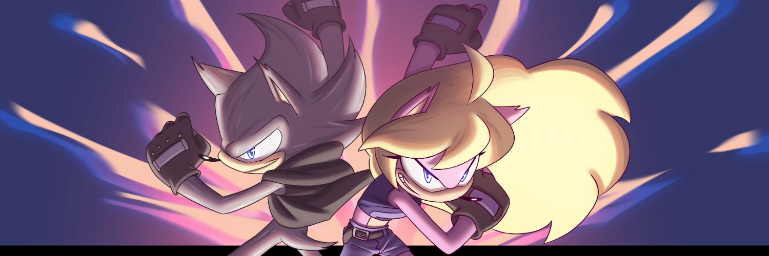 Skyler the Hedgehog banner