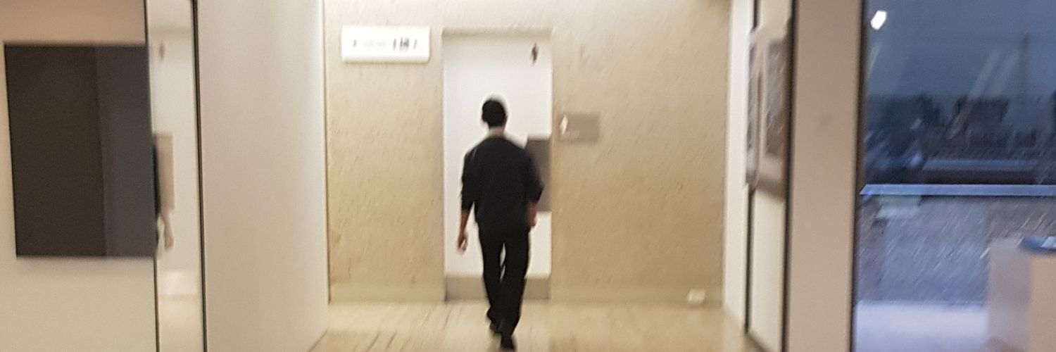Hollowsir | ENVtuber banner