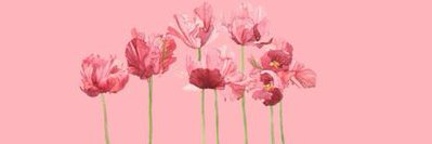 Kae 🌹Predebut Vtuber banner