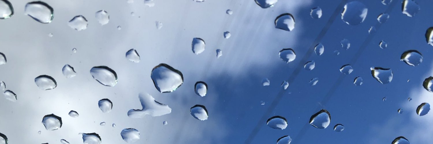 iggy craig banner