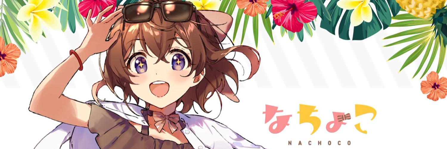Nachoco banner