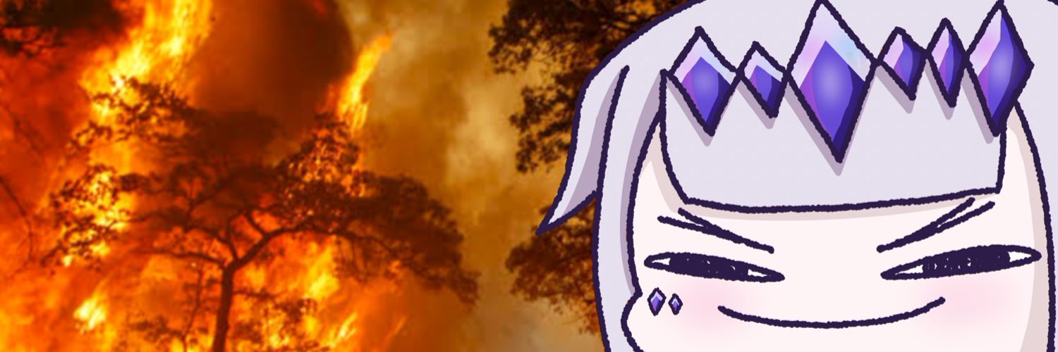 nami_the_chi banner
