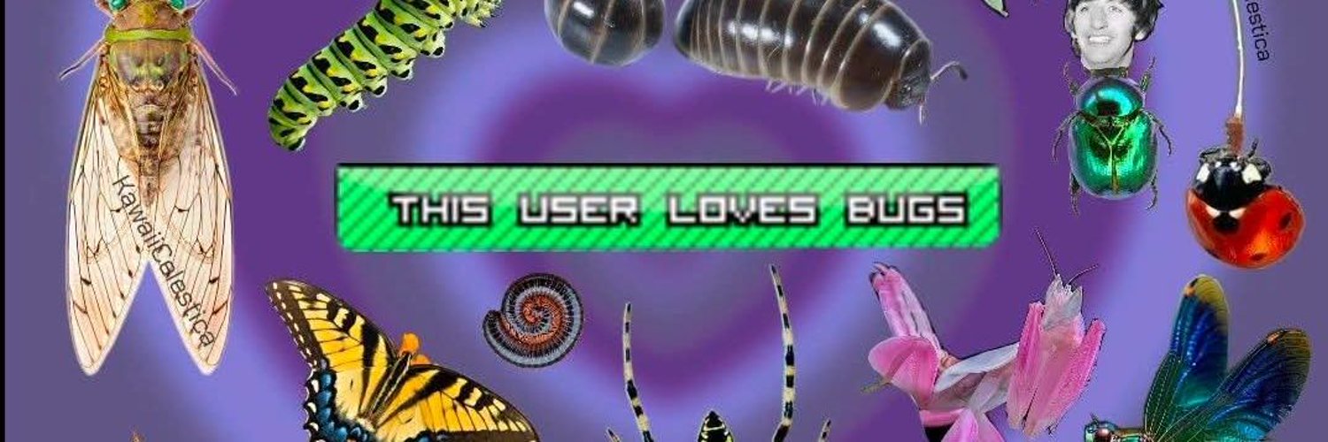 Rats0oup banner