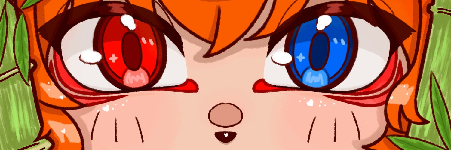 TedysakVT banner