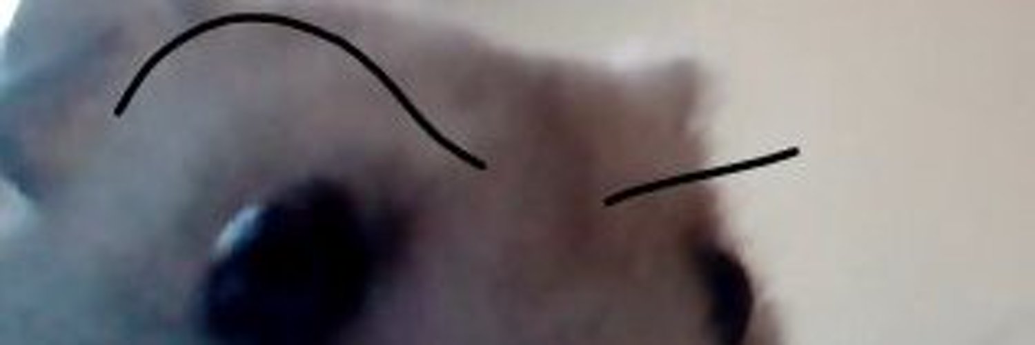 EmmiePlum |🐹 PNGTuber banner