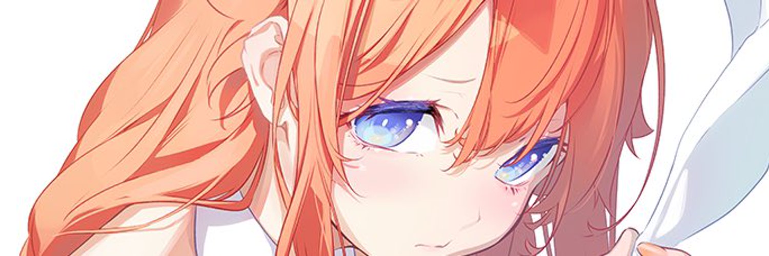 Tor banner