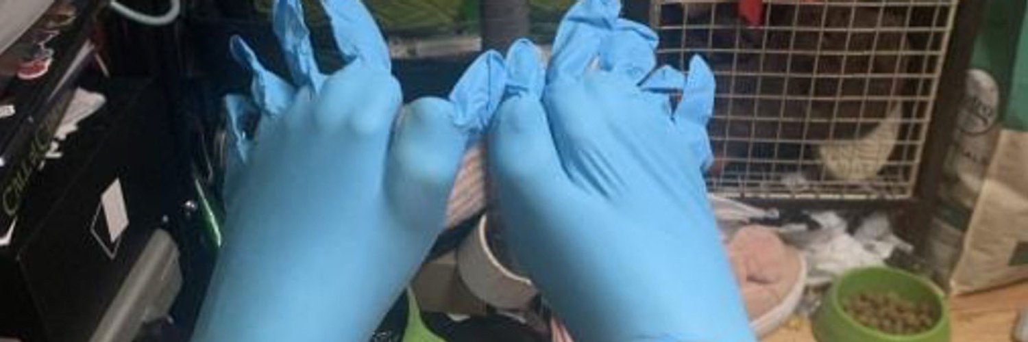 trashrabbitvix banner