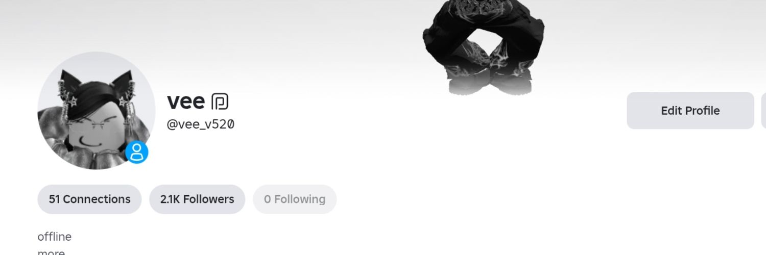 Vee v520 banner