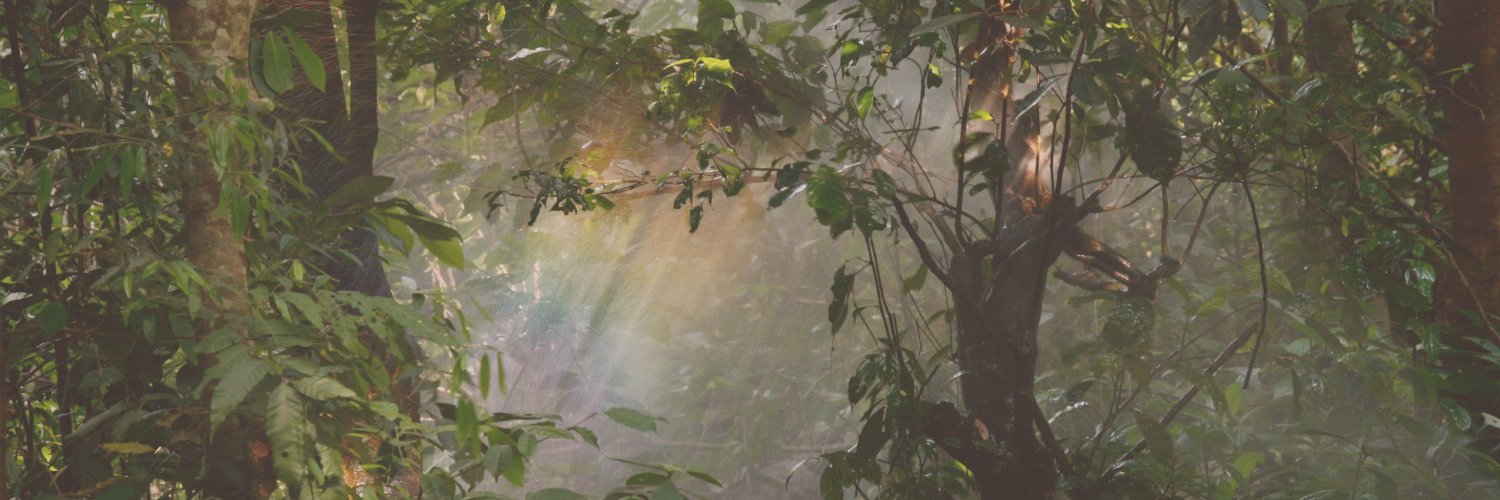 wobbie || EN PNGtuber ʕ ꈍᴥꈍʔ banner