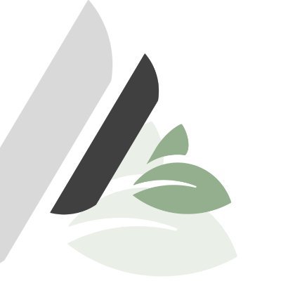 Aerlya Graphics 🌿🎨