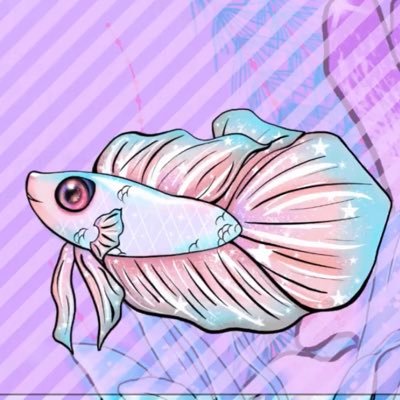 ✨Betta Fish Bibi 🐟💜|PredebutVtuber✨