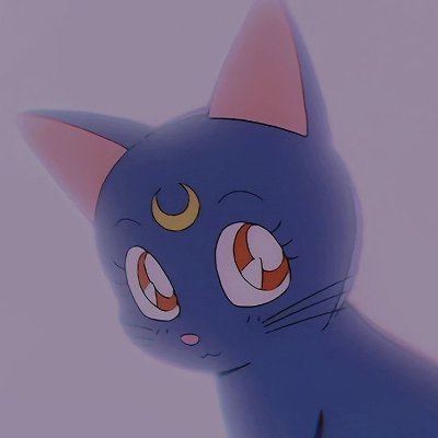 Duskymime ! PNGtuber