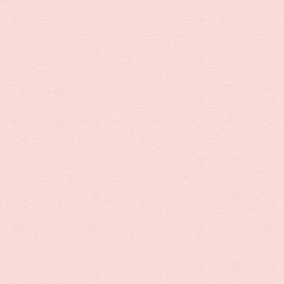 🔞Valentine 💌🎀 ENVTuber (pre-debut)