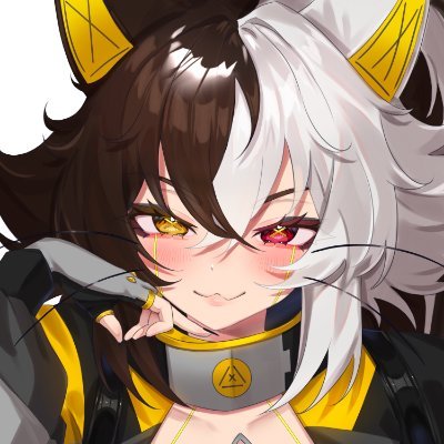 Insomnicat02