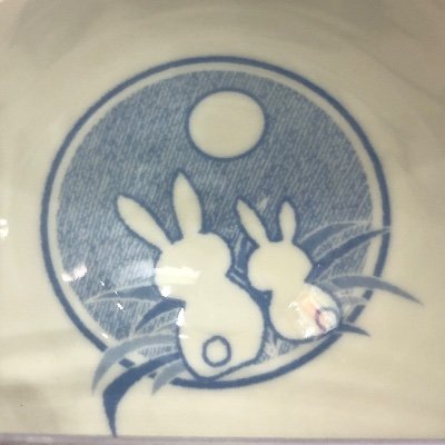 Jade 玉兔 🌕🐇 pngtuber