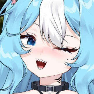 Neo 🦈🩵Cat-Sharkie 🐾