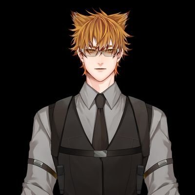 SnowbaronAum 🐯📁 【HNS】VtuberID