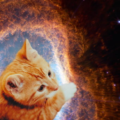 Astral | PreDebut 😸🐾
