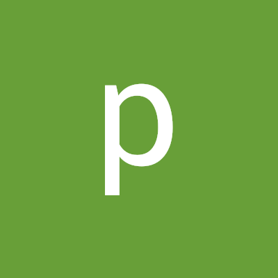 pngtuber tuber