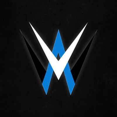 ALL VTUBERS WRESTLING - HIATUS