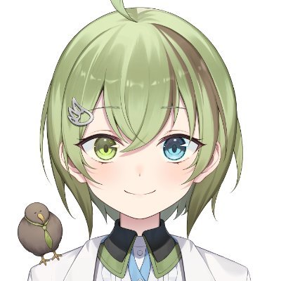 Kitashirakawa Kakapo