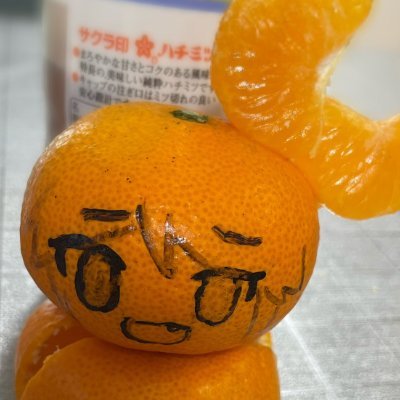 バーチャルきくらげ