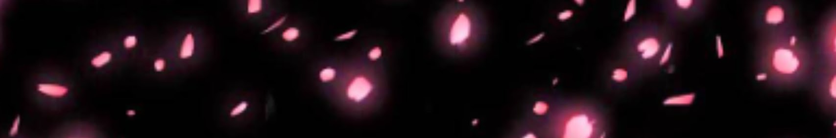 vixen_the_kitsune banner