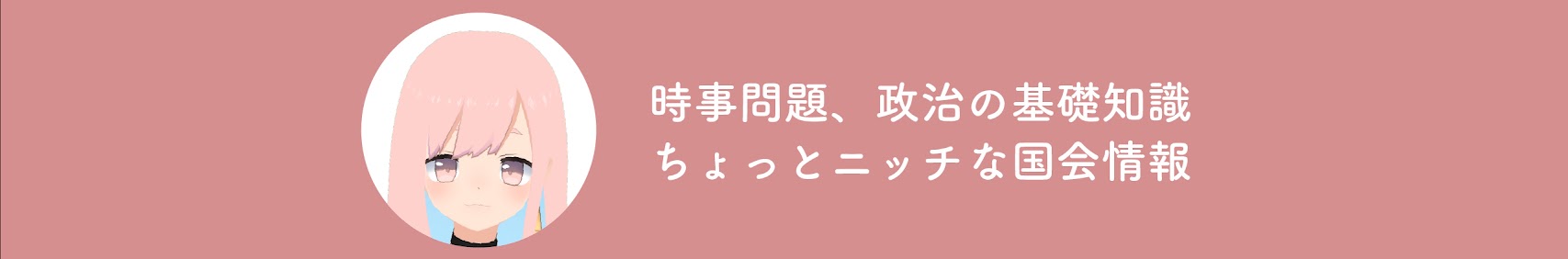 みーちゃんの政治ちゃんねる banner