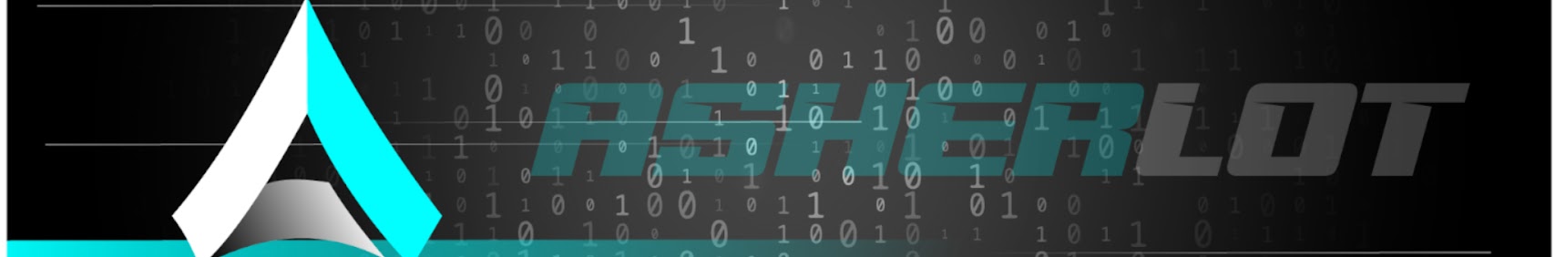 Asher Lot banner
