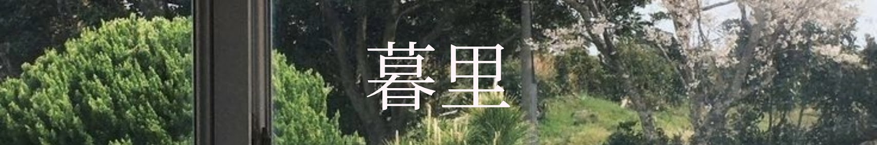 mxrivt banner