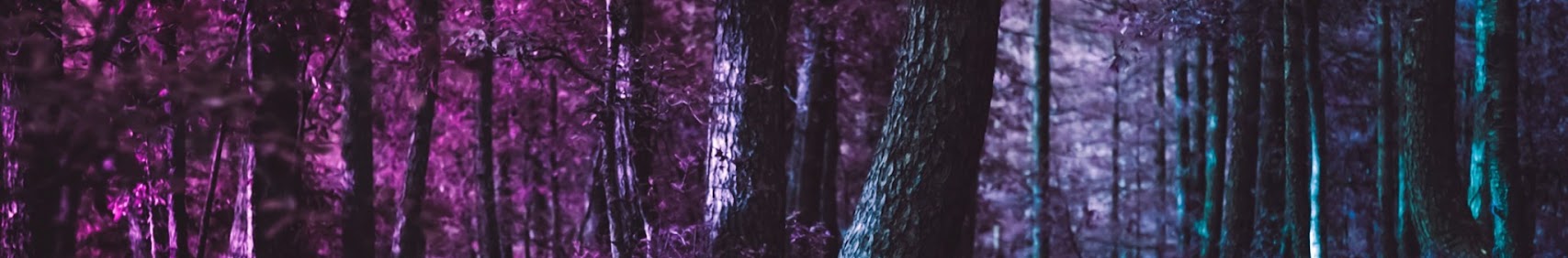 Lotus banner
