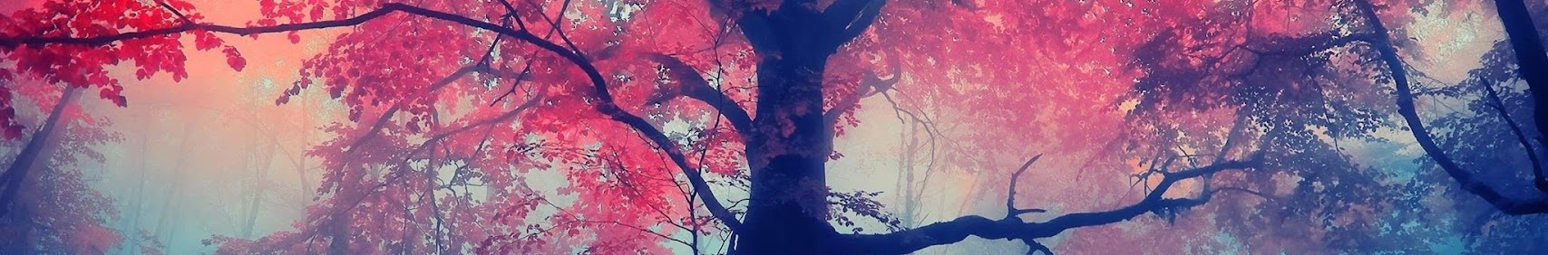 Tenkai Keeru (天界 ケール) banner