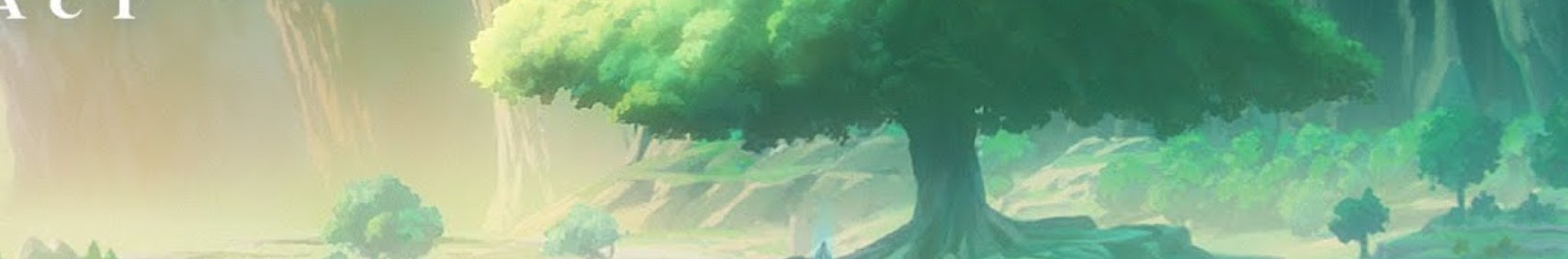 Sruly Shuali banner