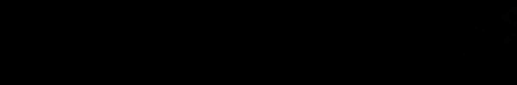 peter_sota banner