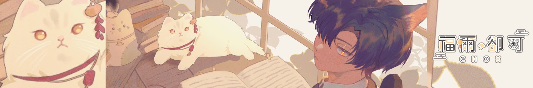 Chox banner