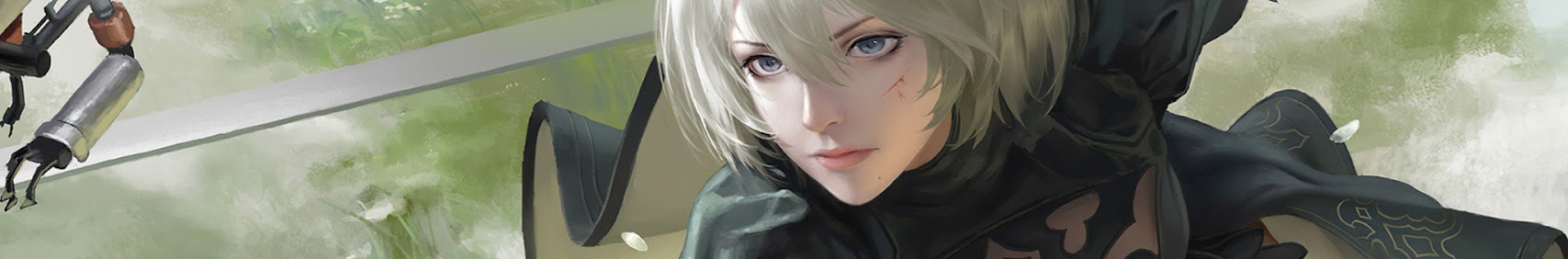 Rimu Valestein banner