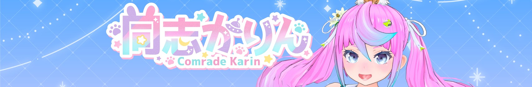 Comrade Karin banner